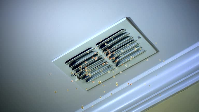 Best Ductwork Cleaning Services  in Alexandria Bay, NY